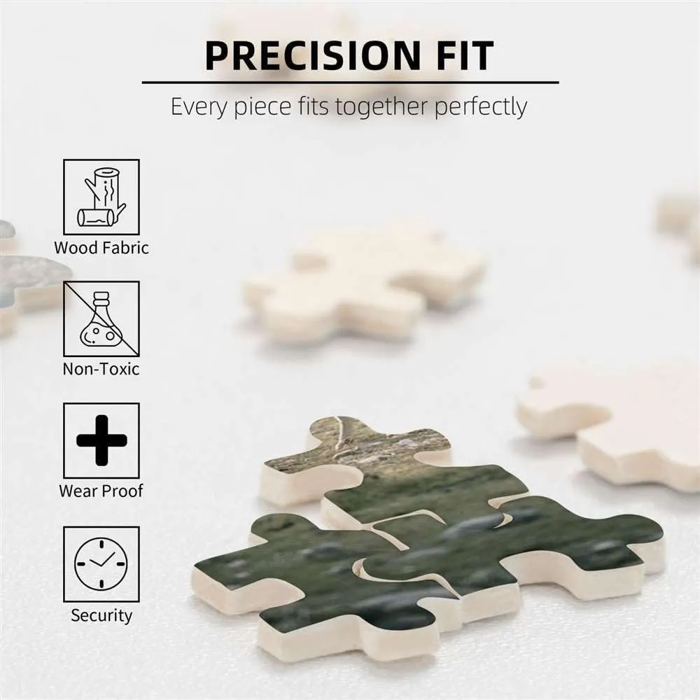 1000 Piece Great Jigsaw Puzzle for Adults and Kids - Music by Number, Musical Instruments Kinds of Guitar Cool Rock Jigsaw Puzzle for Home Decoration Toys and Games