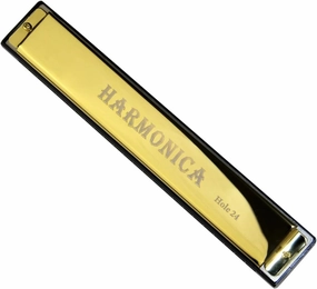24 Hole C Tune Professional Harmonica Instrument Metal (Gold)