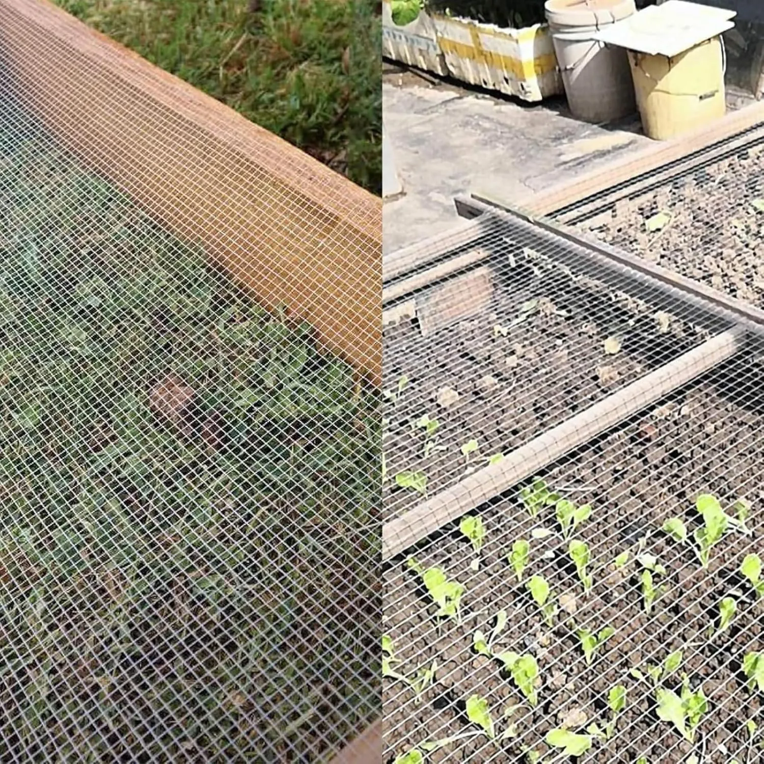 304 Stainless Steel Welded Wire Mesh, Hardware Cloth, 1/2 Inch Tree Guard Fence Roll, Garden Fencing, Poultry, Chicken Coop, Snake (1.5m x 10m)(1.5mX15m(49.2ft))