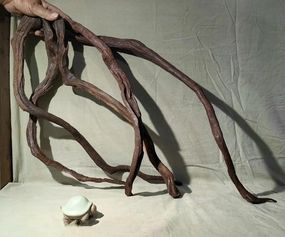 Aquarium Driftwood Branches,2.2lb 9-14inch Long Driftwood for Aquarium Reptile Driftwood Branches Log Natural Driftwood for Aquarium Reptile Branches