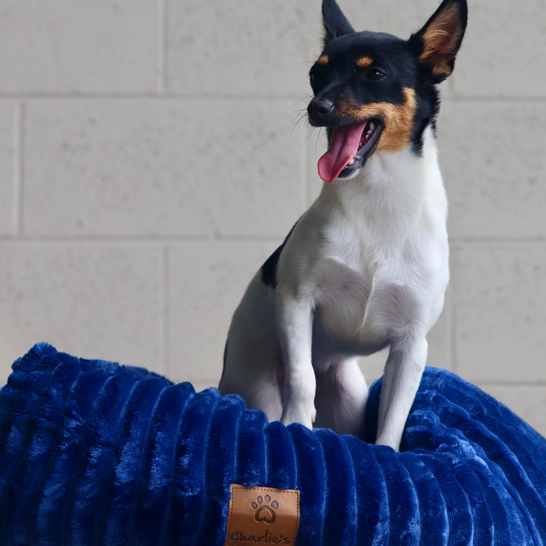 Ascher Plush Corduroy Square Pet Nest Bed - Navy