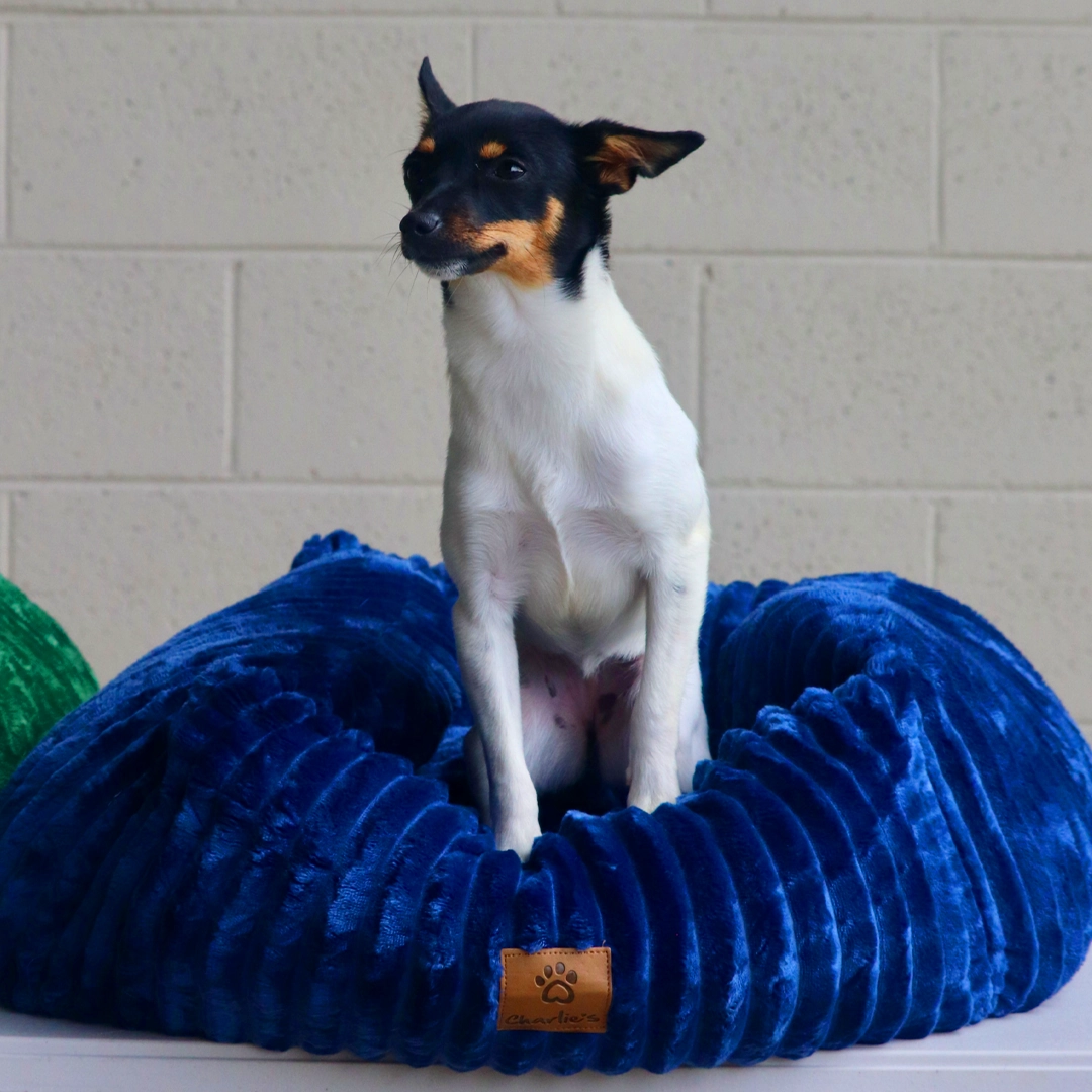 Ascher Plush Corduroy Square Pet Nest Bed - Navy