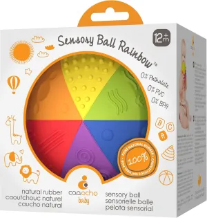 caaocho Pure Natural Rubber Sensory Ball Rainbow 4" - All Natural Sensory Toy, Promotes Sensory Development, Rainbow Colors, Perfect Bouncer, Gentle Squeaking, BPA Free, PVC Free, Food-Grade Paint
