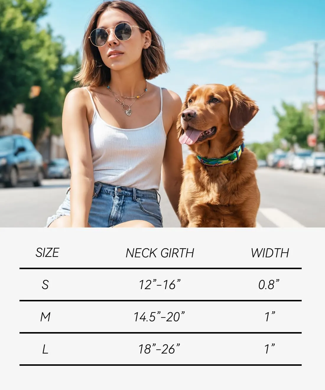 Collar for Dogs, Quality Basic Daily Collar, Cute Collar for Small and Medium Dogs, Adjustable Length and Quick Release Buckle, 18-26 inches