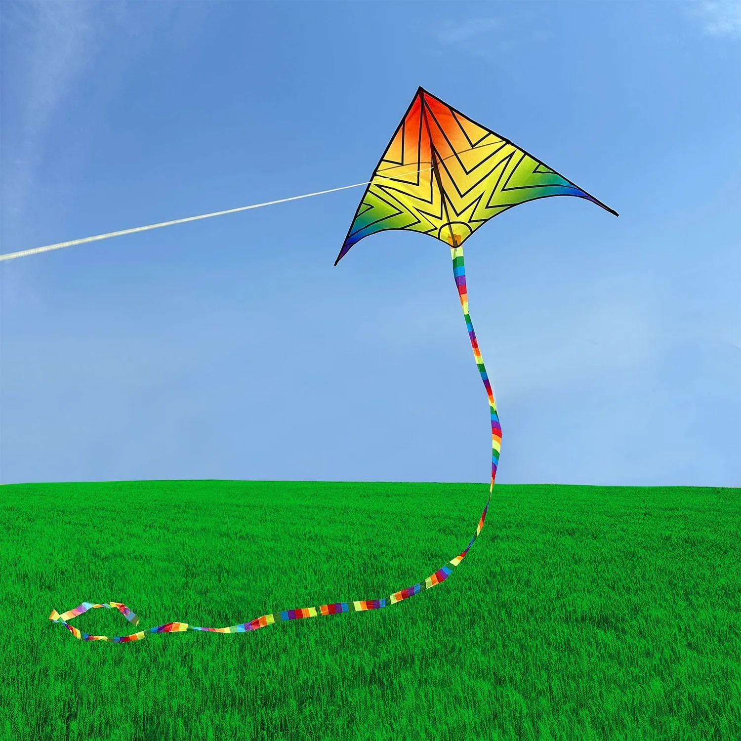 Delta Beginner Kite for Kids & Adults, Easy to Fly Beach Kite