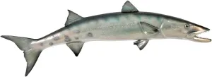 Design Toscano Barracuda Wall Mount Trophy Sculpture