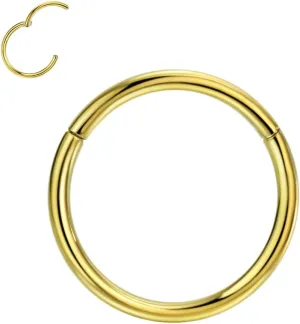 FANSING G23 Titanium Hinged Piercing Rings Hoop