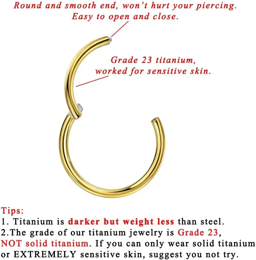 FANSING G23 Titanium Hinged Piercing Rings Hoop