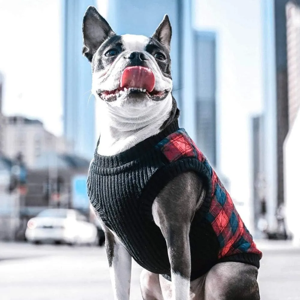 Gooby Fashion Vest Check Dog Jacket - Green Check, Small - Warm Zip Up Bomber Vest with Dual D Ring Leash - Winter Water Resistant Small Dog Sweater