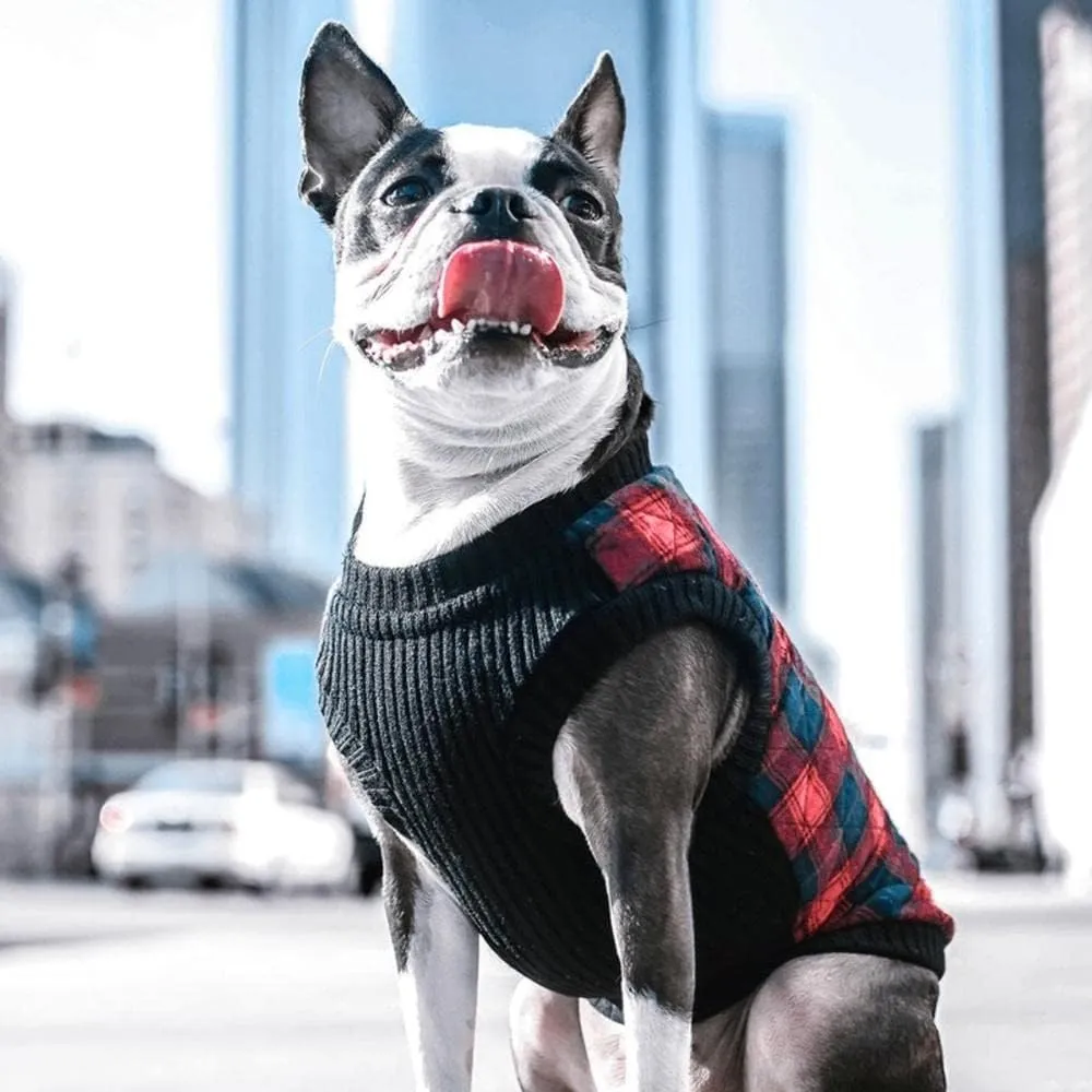 Gooby Fashion Vest Check Dog Jacket - Green Check, Small - Warm Zip Up Bomber Vest with Dual D Ring Leash - Winter Water Resistant Small Dog Sweater