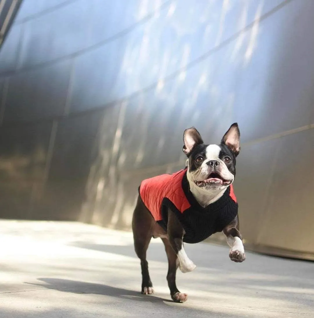 Gooby Fashion Vest Dog Jacket - Pink, Small - Warm Zip Up Bomber Vest with Dual D Ring Leash - Winter Water Resistant Small Dog Sweater