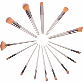 Makeup Brush Set 14pcs Assorted Brushes Labeled Makeup Tool Kit for Ladies Women
