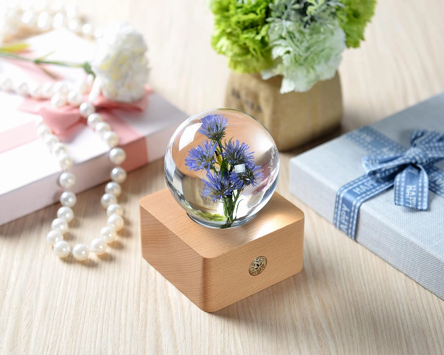 MISS LI GARDEN Forever Flowers Blue Aster in 3D Crystal Ball Elegant Present for Girlfriend Wife Mom Women Enchanted Birthday Anniversary Wedding Home Decor