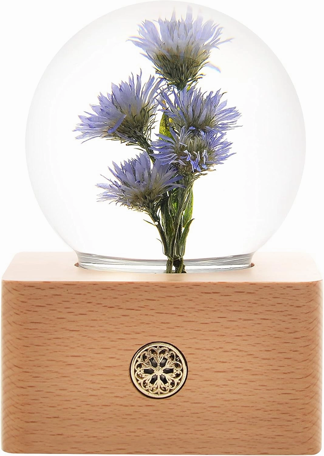 MISS LI GARDEN Forever Flowers Blue Aster in 3D Crystal Ball Elegant Present for Girlfriend Wife Mom Women Enchanted Birthday Anniversary Wedding Home Decor