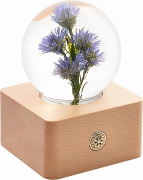 MISS LI GARDEN Forever Flowers Blue Aster in 3D Crystal Ball Elegant Present for Girlfriend Wife Mom Women Enchanted Birthday Anniversary Wedding Home Decor
