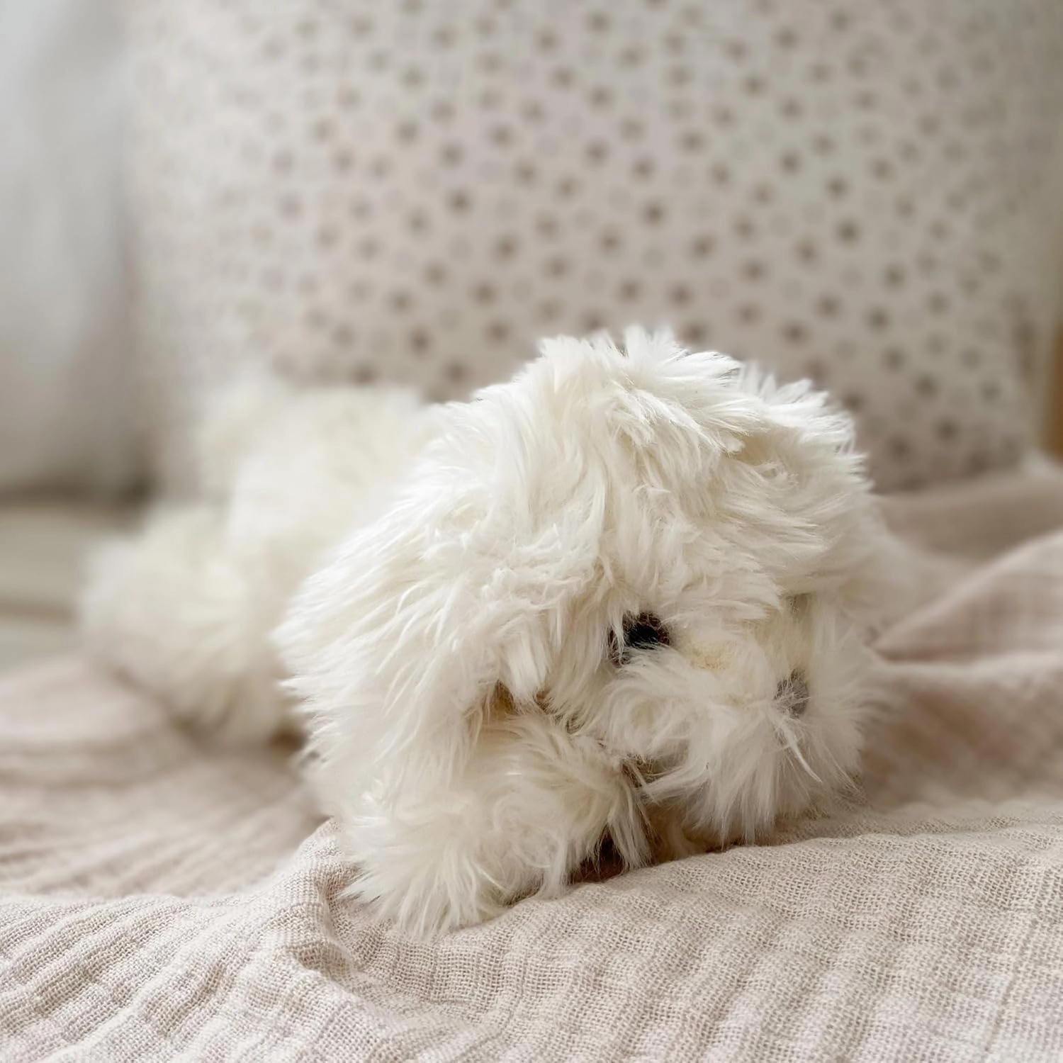 MON AMI Sugar The Maltese Dog Stuffed Animal - 10”, Soft & Cuddly Puppy Plush Toy for Kids, Use as Toy or Nursery Room Décor