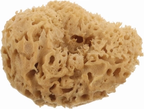 Natural Greek Sea Sponge Bath Ball Exfoliating Shower Sponge for Deep Cleansing Rich Production Bathing Supplies for All Skin Types