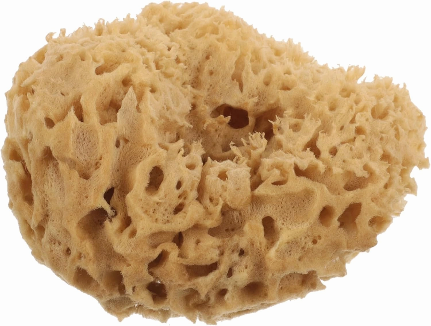 Natural Greek Sea Sponge Bath Ball Exfoliating Shower Sponge for Deep Cleansing Rich Production Bathing Supplies for All Skin Types