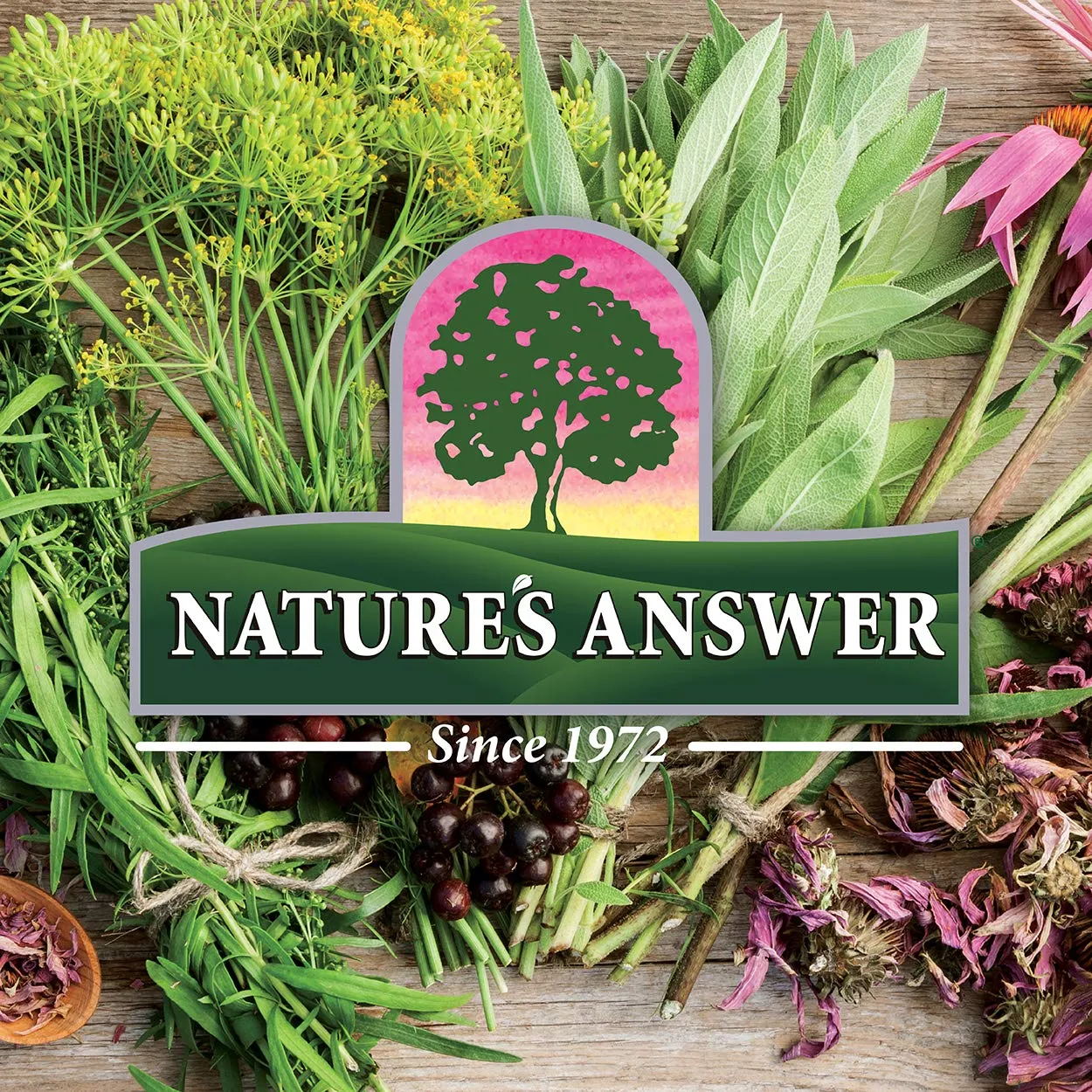 Nature's Answer 100% Pure Organic Essential Oil Blend, 0.5-Ounce, Night Snooze