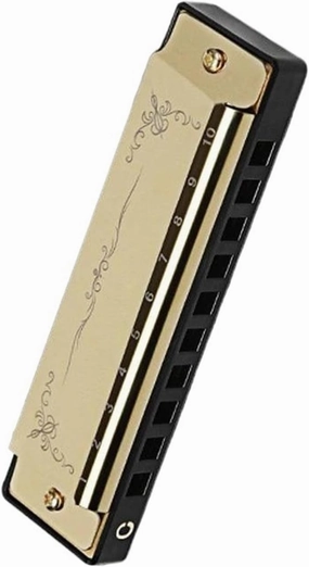 Professional Beginners Adults 10 Hole 20 Note Harmonica In C Key(Gold)
