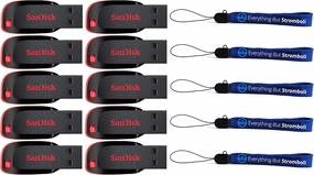 SanDisk Cruzer Blade 8GB (10 pack) USB 2.0 Flash Drive Jump Drive Thumb Drive SDCZ50-008G-10PK w/ (5) Everything But Stromboli (TM) Lanyard