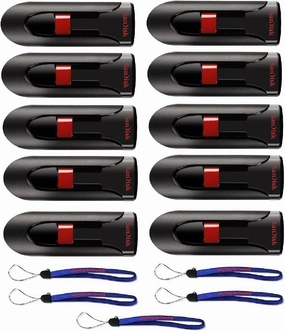 SanDisk Cruzer Glide 32GB (10 Pack) Cruzer USB 2.0 Flash Drive Jump Drive Pen Drive CZ60 Bundle with (5) Everything But Stromboli Lanyards