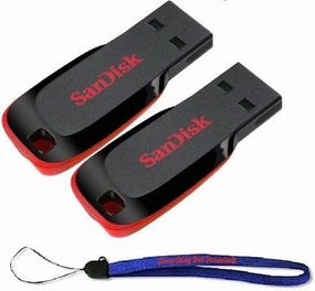 SanDisk Cruzer Two Pack 32 GB (32GB x 2 = 64GB) Cruzer Blade USB 2.0 Flash Drive Jump Drive Pen Drive SDCZ50 - Two Pack Bundle with (1) Everything But Stromboli Lanyard