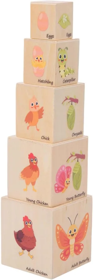 Wooden Life Cycle Nesting Blocks, Sorting & Stacking Montessori Toys for Kids, Preschool Educational Learning Cube Boxes for Toddlers 1-3, Science Toy Set for Baby Boys & Girls (5 Pcs)